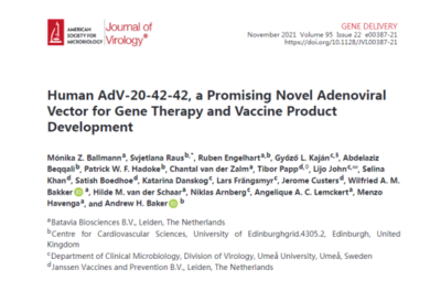 科学家们发现了一种能够用于基因治疗和疫苗产品开发的新型腺病毒载体
