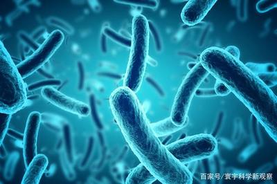 消毒液也不能滥用?科学家:会像抗生素滥用一样,增强细菌抗药性