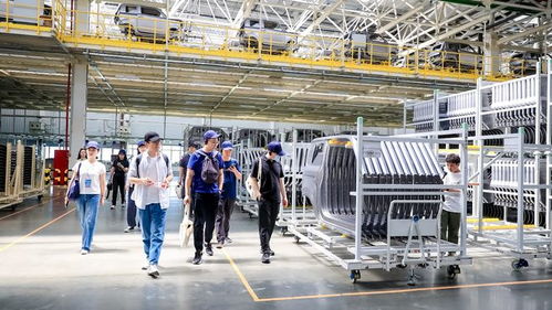 科技吉利4.0引领安全品质新标准 探访熊猫mini品质工厂